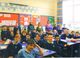 Fiddle and Tin Whistle Tuition Success at Groggan Primary School