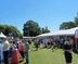 Ulster-Scots Agency Showcase in Moira