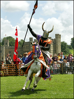 Bruce Festival 2015 picture