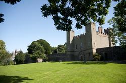 Jolly Rooks Festival - Hillsborough picture