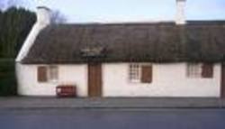 Burns Night Supper in Ballywillan Orange Hall picture