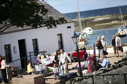 Eagle Wing Celebrations at Cockle Row Cottages picture